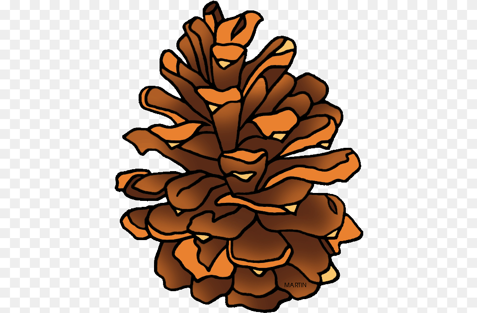 Clipart Pine Cone Pine Cone Clipart, Conifer, Plant, Tree, Larch Free Transparent Png