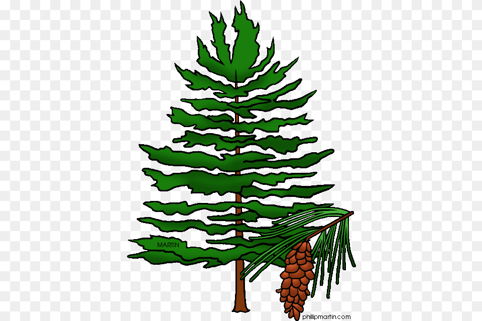 Clipart Pine Tree Freeuse Black And White Pine Pine Tree Clipart, Conifer, Fir, Plant Png