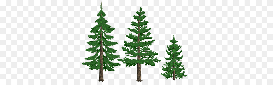 Clipart Pine Tree Transparent, Conifer, Fir, Plant Png