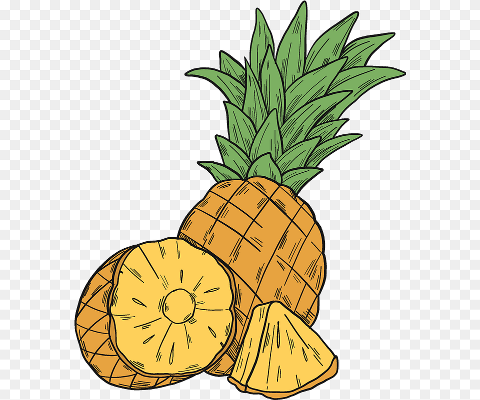 Clipart Pineapple Clipart, Food, Fruit, Plant, Produce Png Image