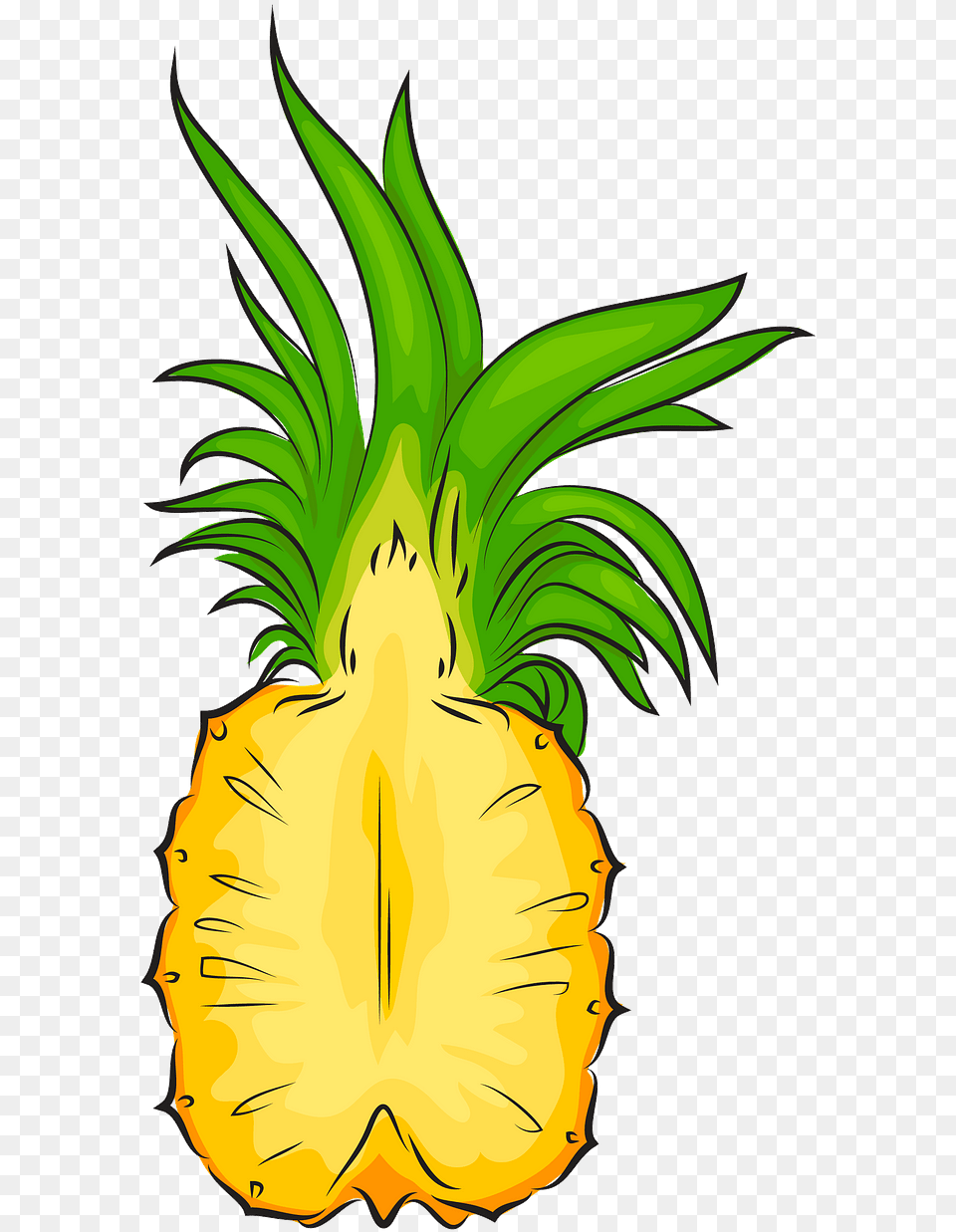 Clipart Pineapple Cut In Half, Food, Fruit, Plant, Produce Free Png Download