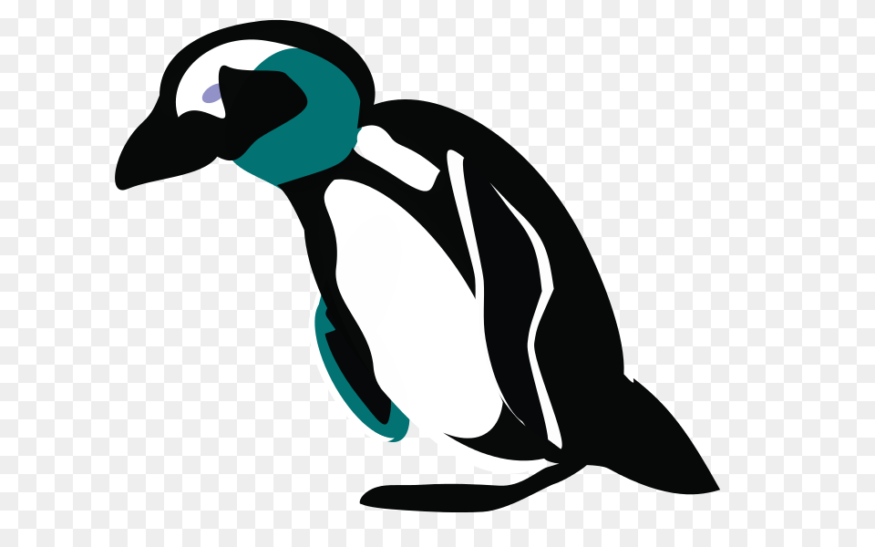 Clipart Pinguin Downhill User Unknown, Animal, Bird, Penguin, Fish Free Transparent Png