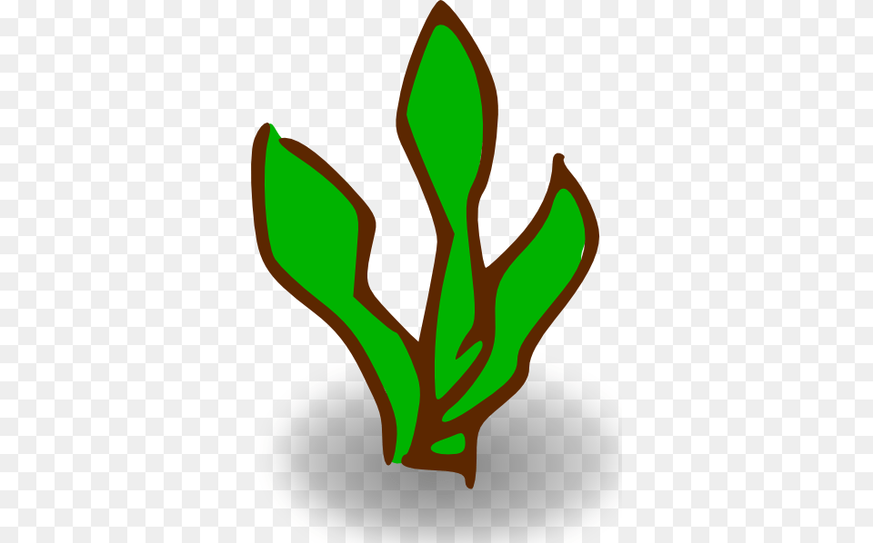 Clipart Plants, Leaf, Plant, Herbal, Herbs Free Png Download