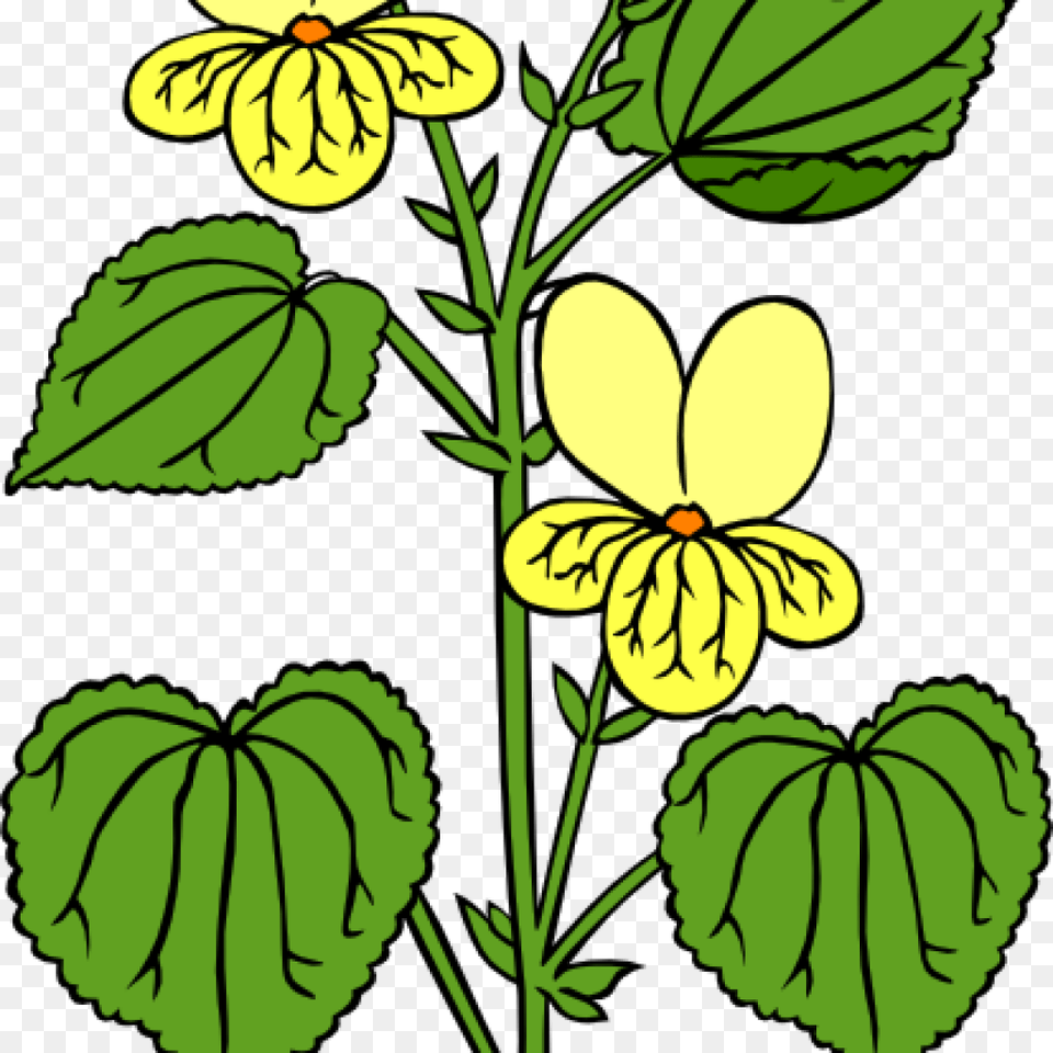 Clipart Plants Clipart Flower, Leaf, Plant, Herbal Free Png Download