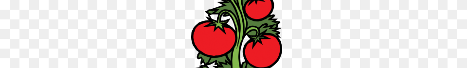Clipart Plants Tomato Plant Clip Art Vector Clipart Best, Food, Produce, Vegetable, Person Png