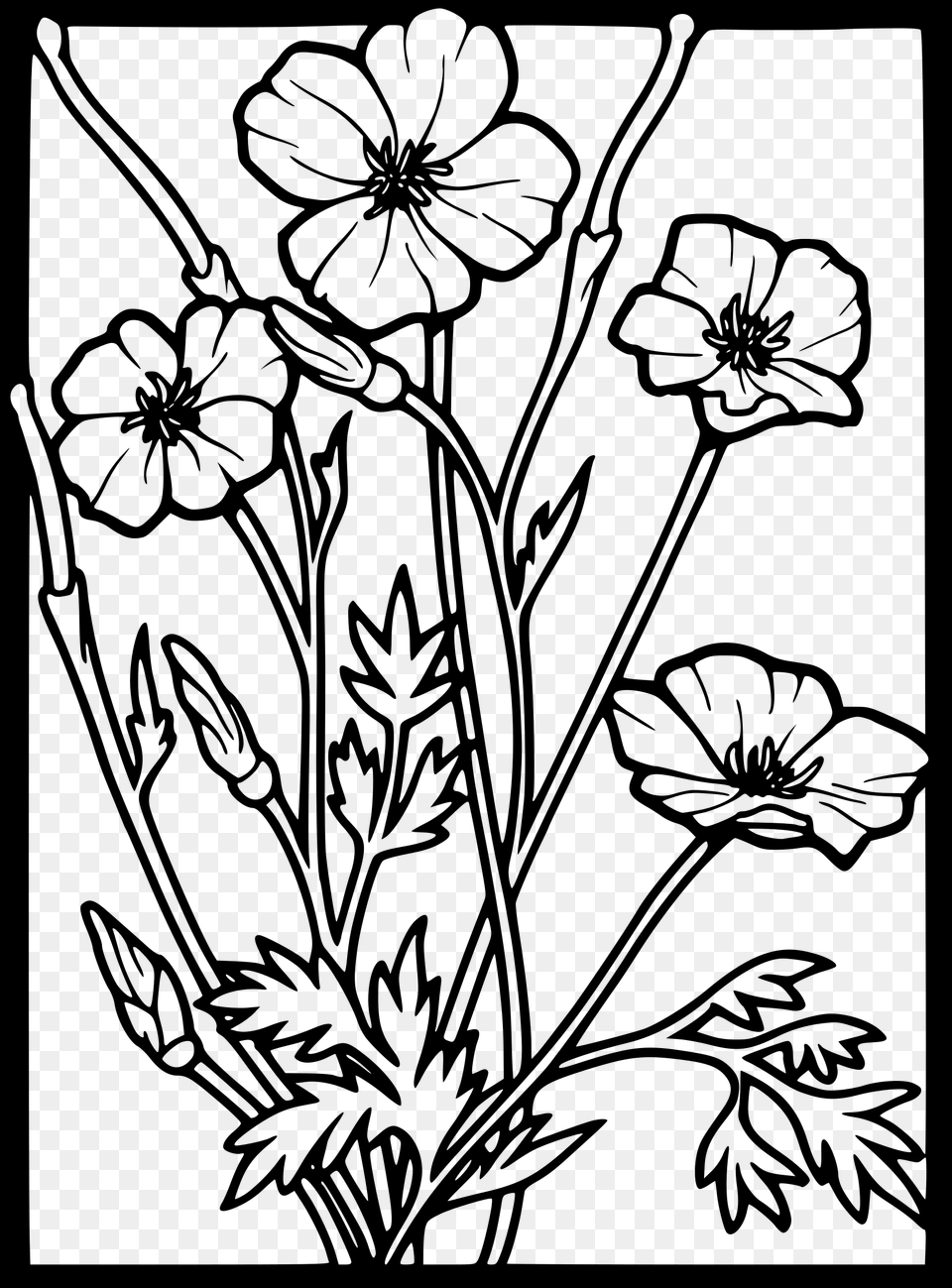 Clipart Poppies Clipart Black And White, Gray Free Png Download