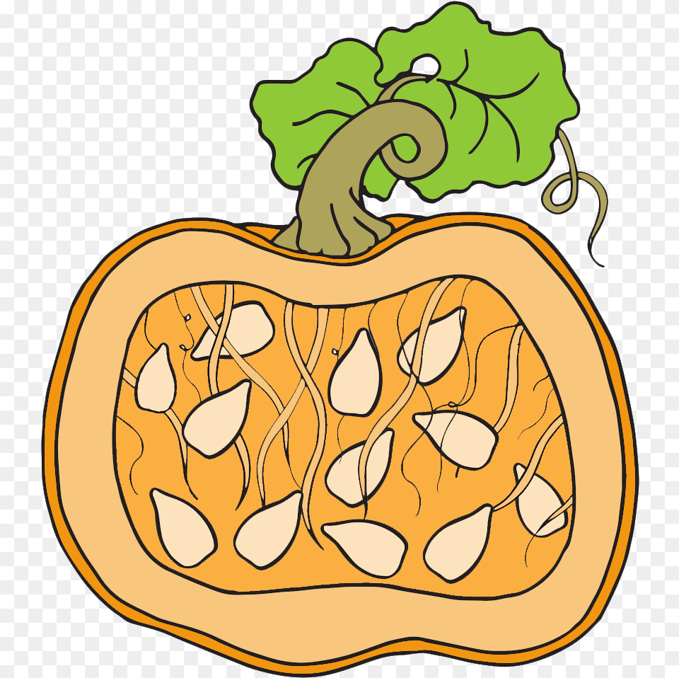 Clipart Pumpkin Has Seeds, Food, Plant, Produce, Vegetable Png Image