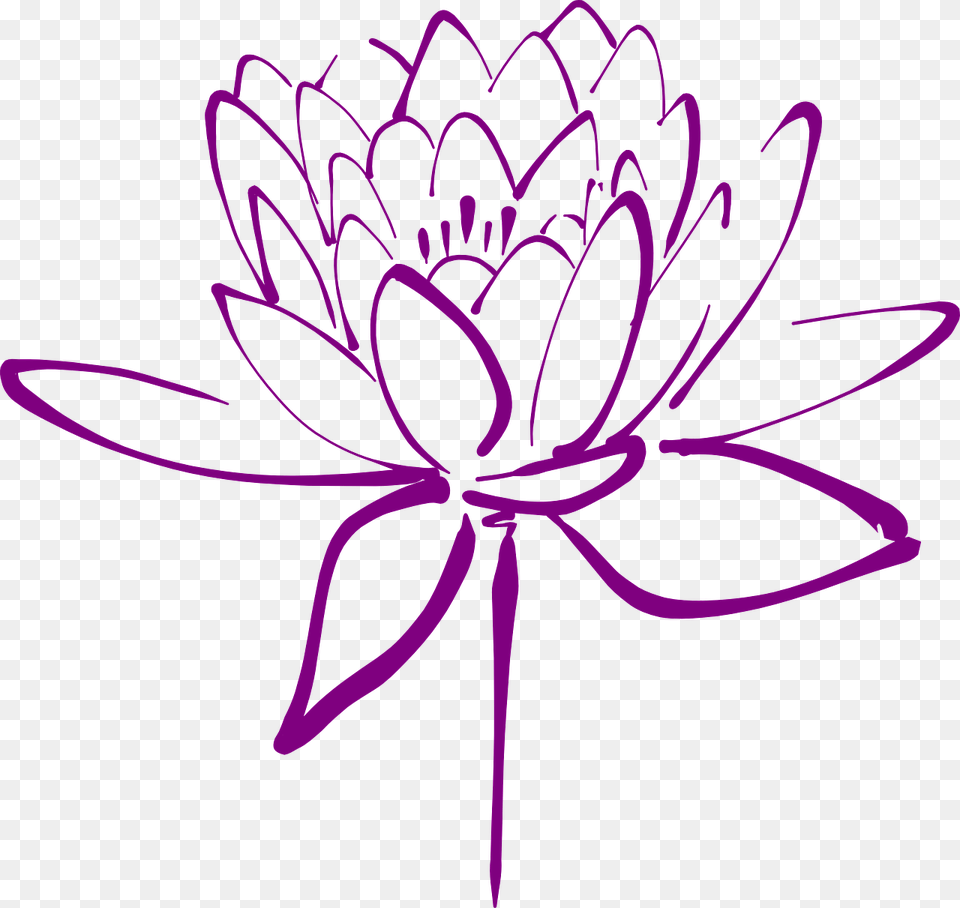 Clipart Purple Lotus Flower, Dahlia, Plant Png Image