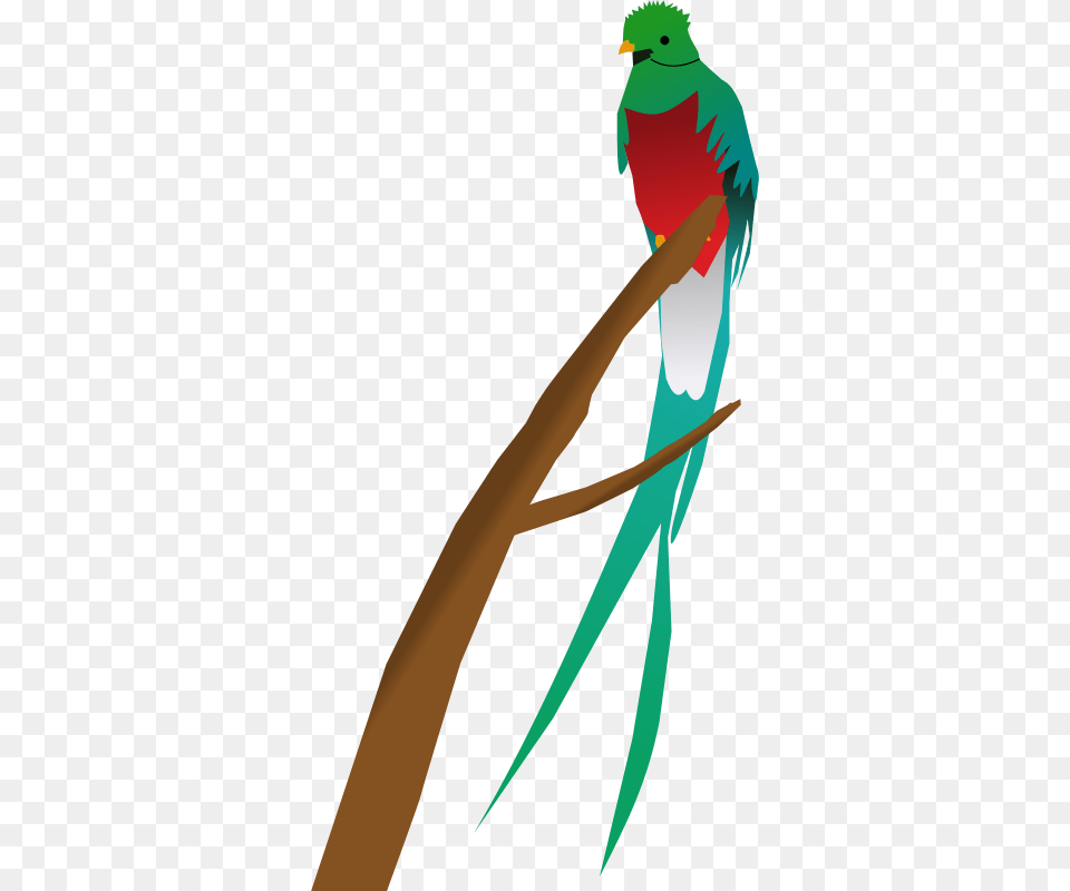 Clipart Quetzal Cyberscooty, Animal, Bird, Parakeet, Parrot Png