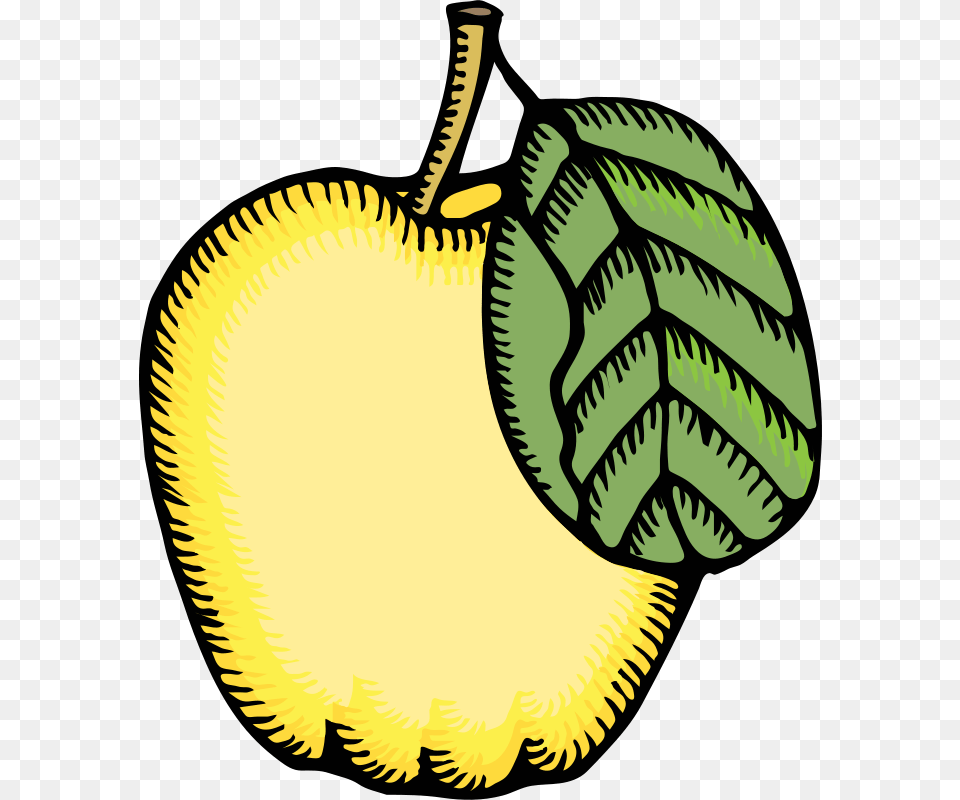 Clipart Quince Johnny Automatic, Food, Fruit, Leaf, Plant Free Png