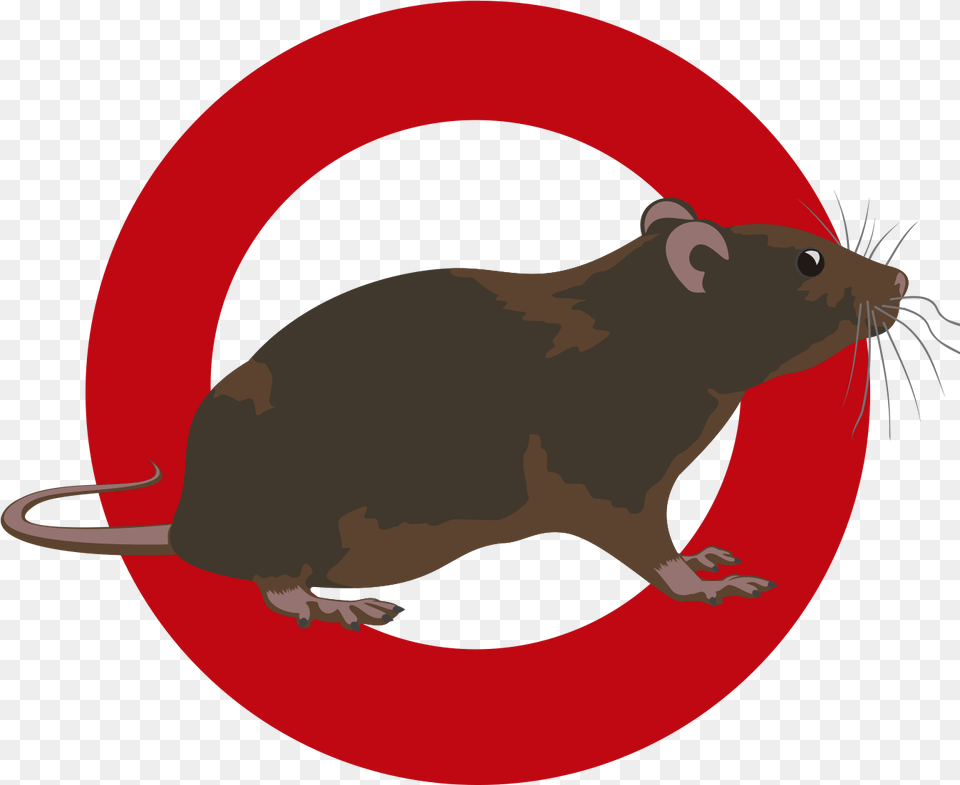 Clipart Rat Pest Control Mouse, Animal, Mammal, Rodent, Fish Free Transparent Png
