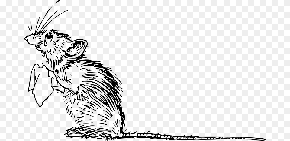 Clipart Rat Sad Rat Sad Mouse Clipart, Gray Free Png