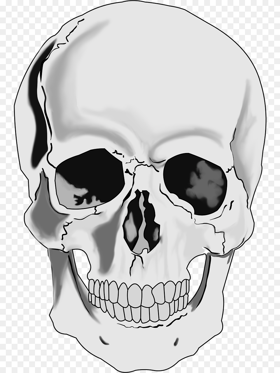 Clipart Realistic Human Skull Realistic Skull Clipart, Adult, Male, Man, Person Free Transparent Png