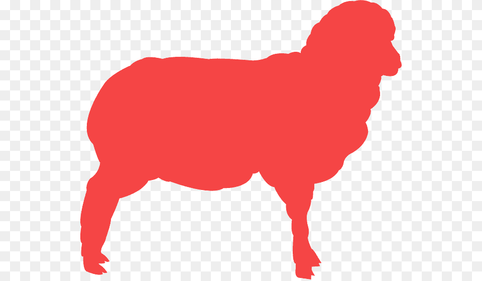 Clipart Red Sheep Silhouette, Baby, Person, Animal, Livestock Free Png Download