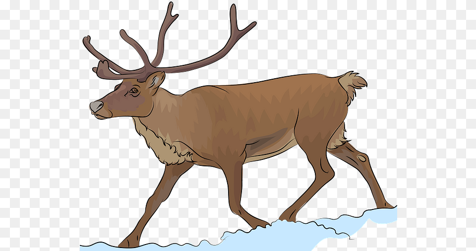 Clipart Reindeer, Animal, Deer, Elk, Mammal Png Image
