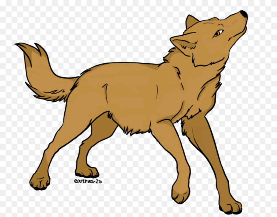 Clipart Resolution, Animal, Coyote, Mammal, Wolf Png