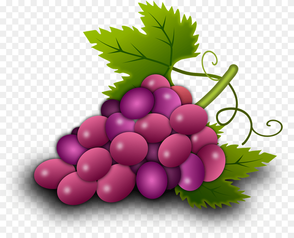 Clipart Resolution Food, Fruit, Grapes, Plant Free Transparent Png