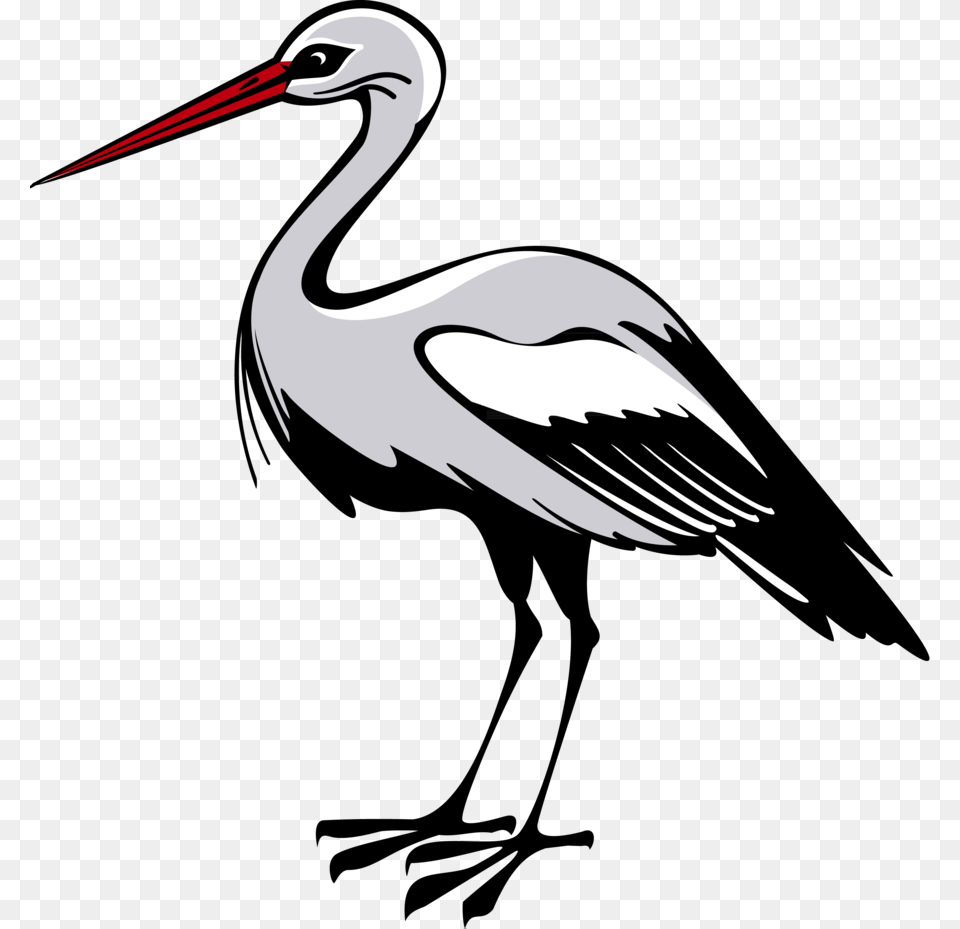 Clipart Resolution, Animal, Bird, Crane Bird, Stork Png
