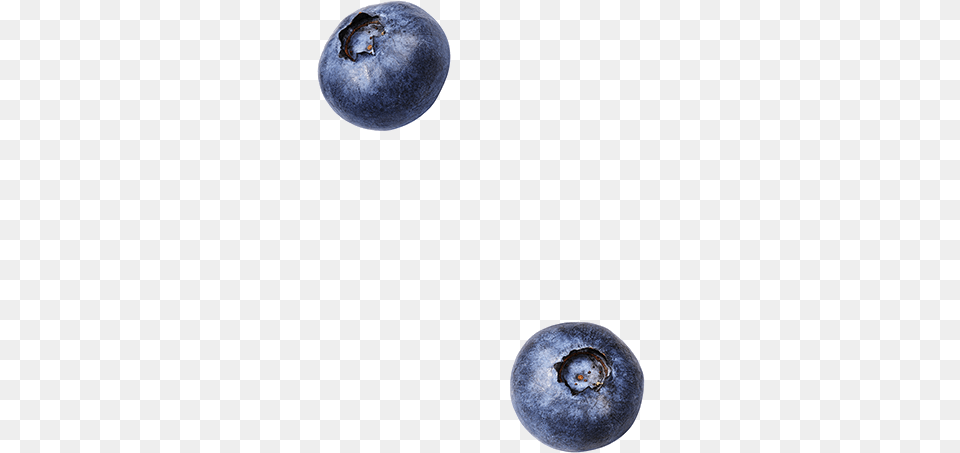 Clipart Resolution Blueberry Top View, Berry, Food, Fruit, Plant Png