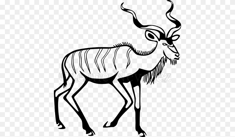 Clipart Resolution Kudu, Text Free Png