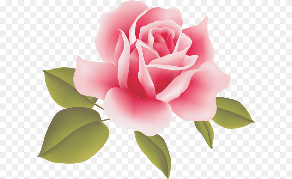 Clipart Resolution Rose Art Flowers, Flower, Plant, Petal Png Image
