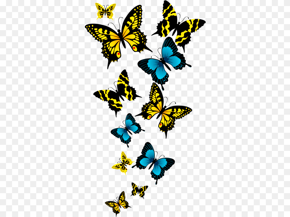 Clipart Resolution Beautiful Butterfly File, Animal, Insect, Invertebrate Free Png