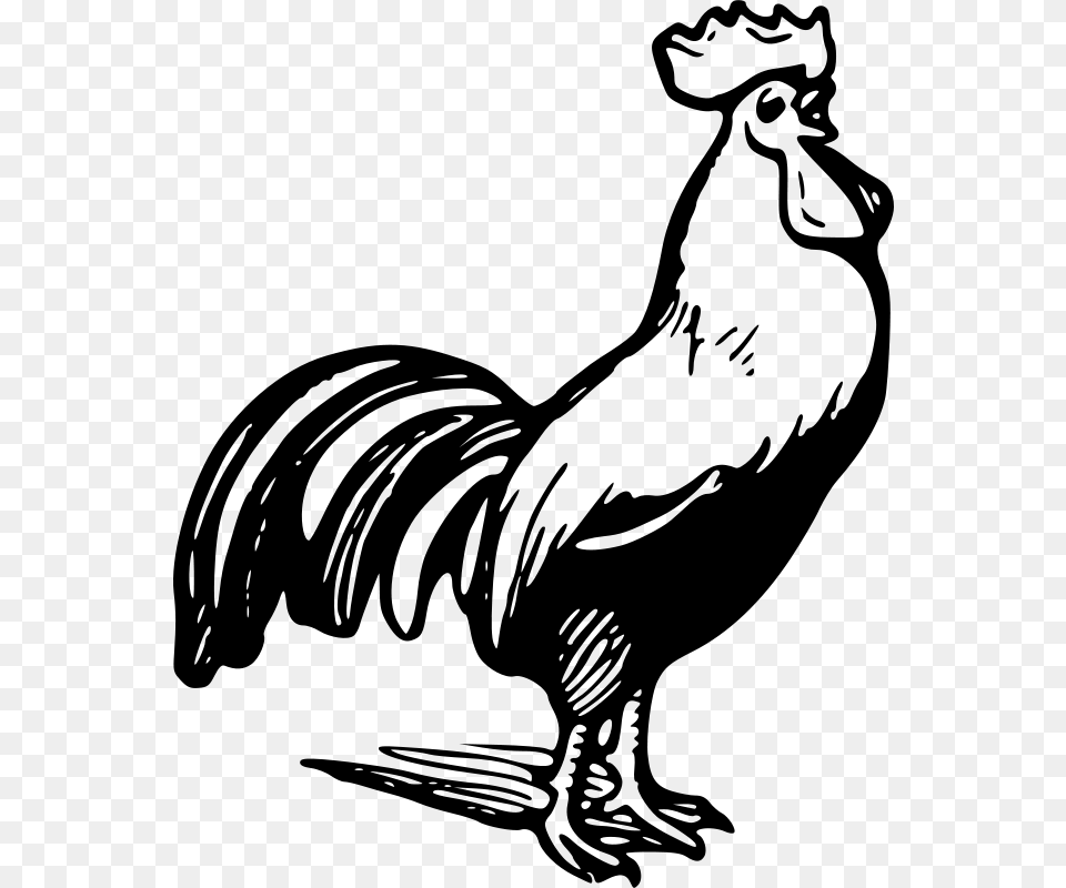 Clipart Rooster Gerald G Clipart Clip Art, Gray Png Image