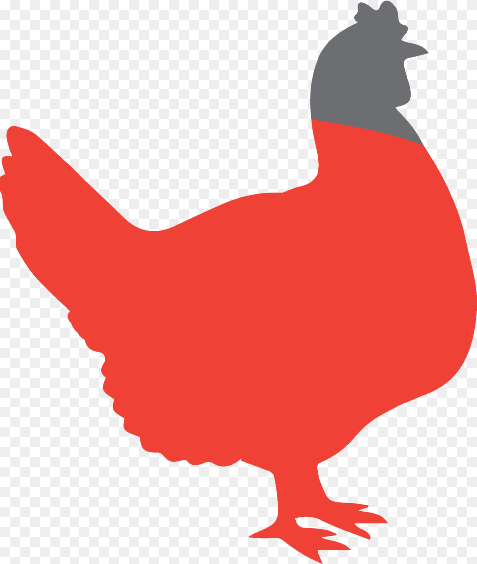 Clipart Rooster Royalty Chicken Transprent, Baby, Person, Animal, Bird Png