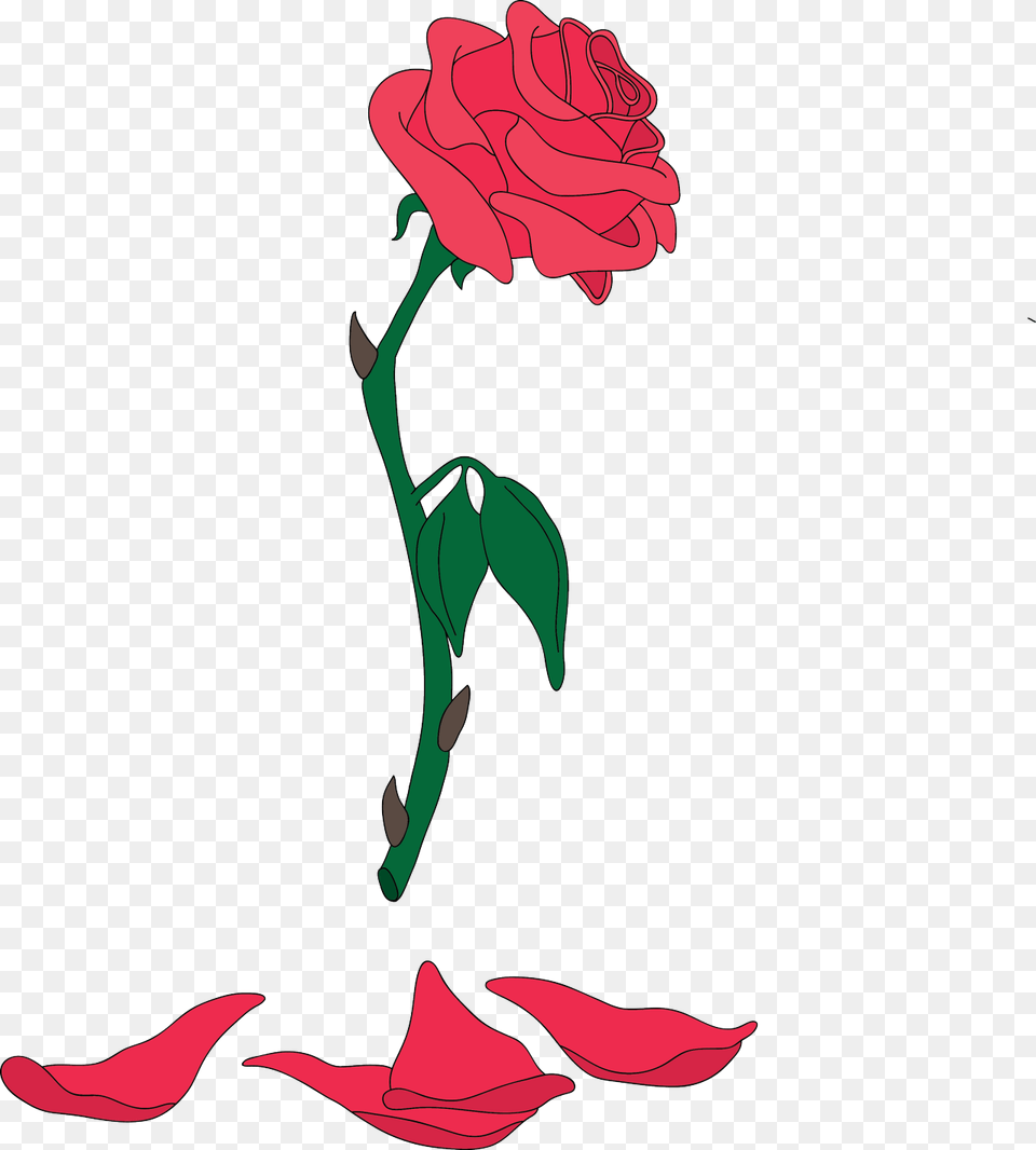 Clipart Rose Beauty And The Beast Rose Beauty And The Beast, Flower, Plant, Carnation, Petal Png