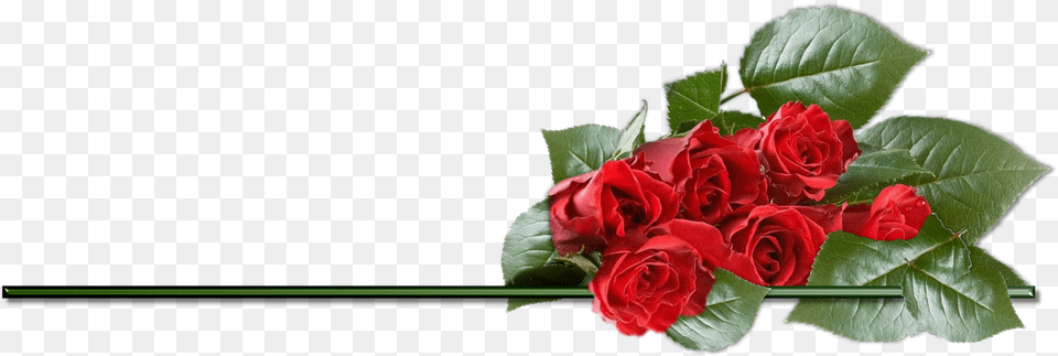 Clipart Rose Best Rose Happy Birthday, Flower, Plant, Flower Arrangement, Flower Bouquet Png