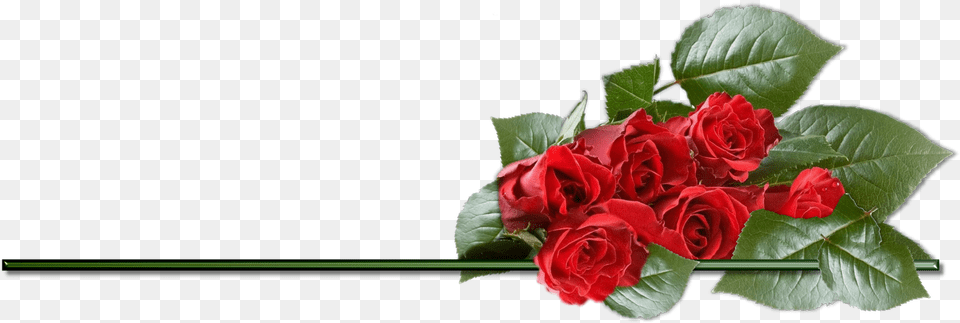 Clipart Rose Best Valentines Day Rose, Flower, Plant, Flower Arrangement, Flower Bouquet Png