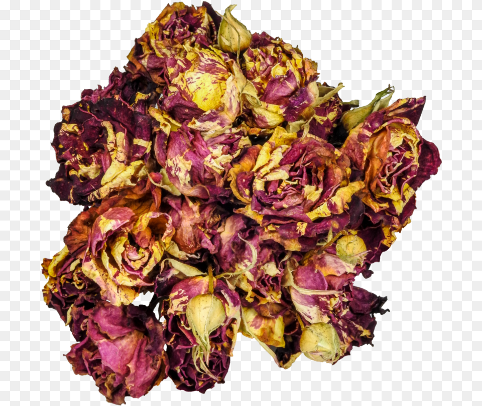 Clipart Rose Dead Rose Dead Roses, Plant, Flower, Flower Arrangement, Flower Bouquet Free Transparent Png