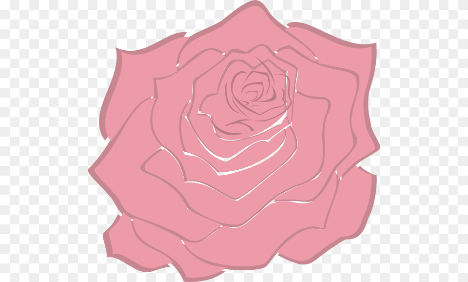 Clipart Rose Pink Rose Pink Rose Clipart, Flower, Plant, Petal Png Image