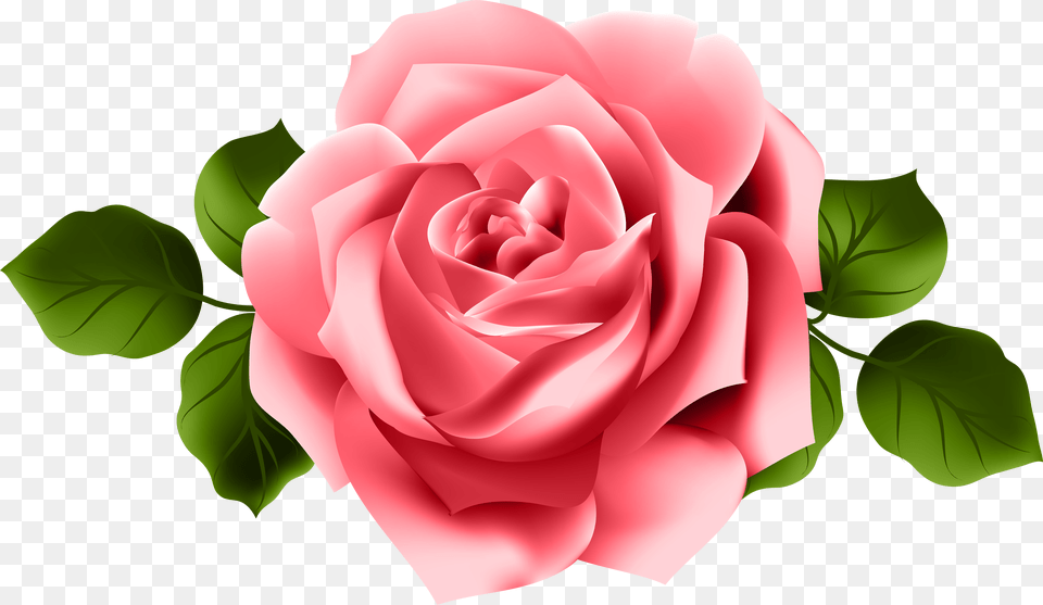 Clipart Rose Tea Pink Red Rose Png