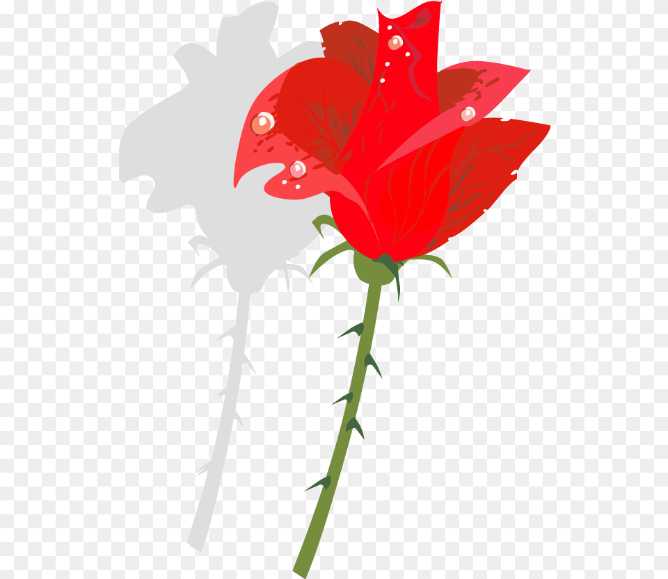 Clipart Rose Thorn For Rose Thorn Clipart, Flower, Plant, Petal, Leaf Free Png