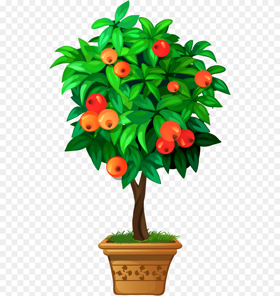 Clipart Roses Apple Tree Plantas En Macetas Dibujar, Plant, Potted Plant, Conifer, Flower Free Png Download