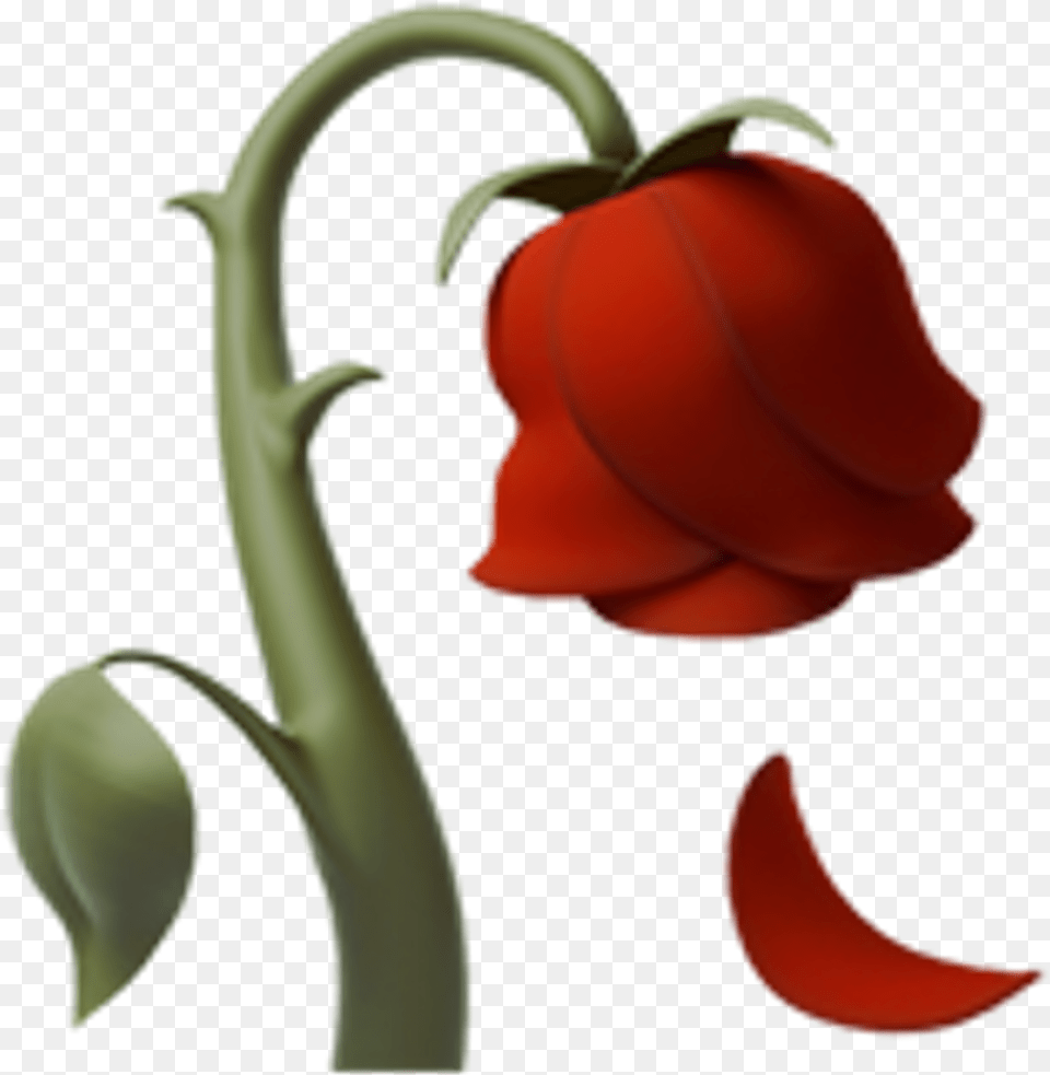Clipart Roses Emoji Transparent Iphone Rose Emoji, Flower, Petal, Plant, Chandelier Free Png
