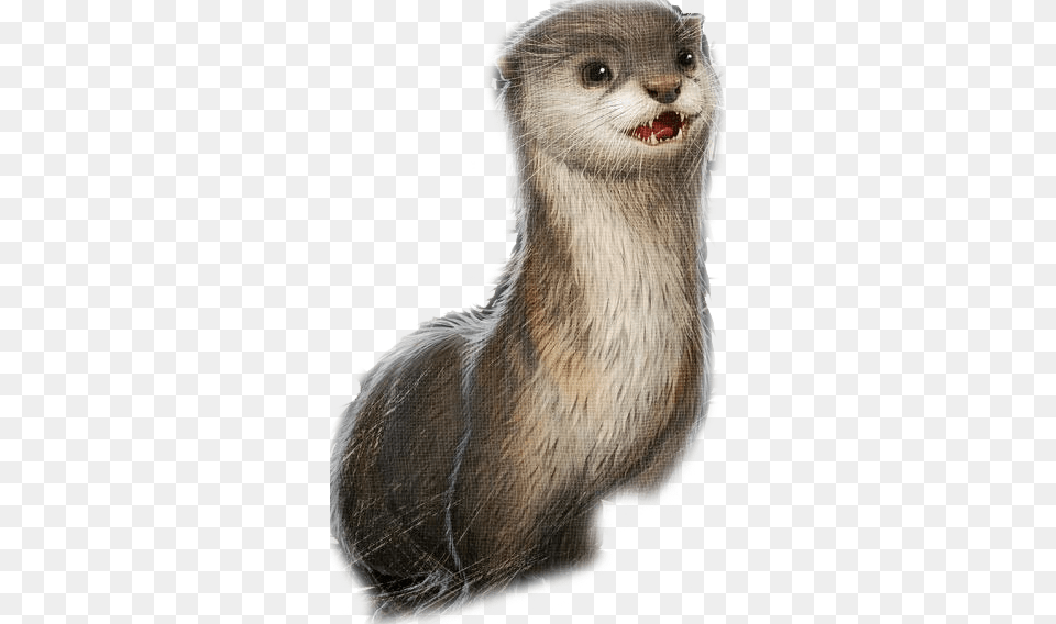 Clipart Royalty Download Forum Deutsches Survival North American River Otter, Animal, Mammal, Wildlife, Bear Png