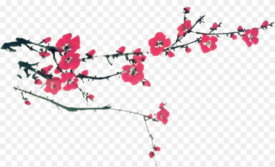Clipart Royalty Free Download China Vector Tree Chinese Chinese New Year Poster Download, Flower, Petal, Plant, Geranium Png