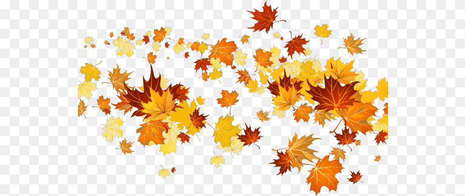 Clipart Royalty Library Fall Clipart Fall Leaves Blowing Clipart, Leaf, Plant, Tree, Maple Free Png