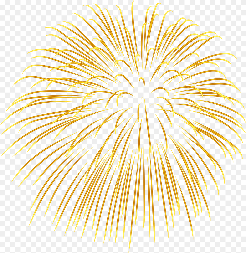 Clipart Royalty Library Files Transparent Background Fireworks, Plant Png