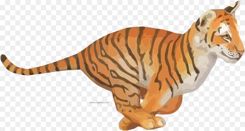 Clipart Run Tiger, Animal, Mammal, Wildlife, Dinosaur Free Png Download