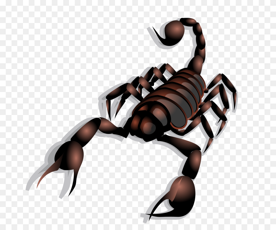 Clipart Scorpion Anonymous, Animal, Invertebrate Png Image