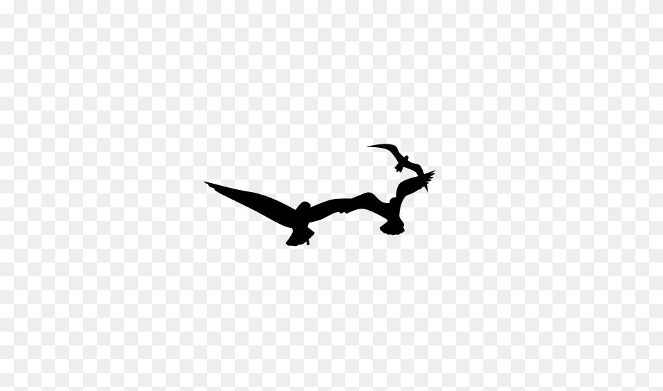 Clipart Seagulls Last Dino, Gray Free Transparent Png