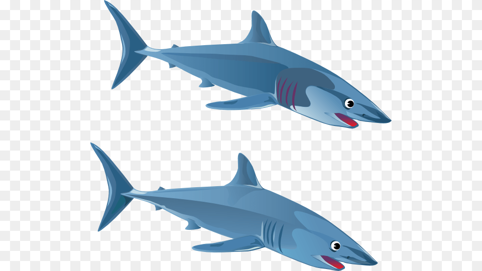 Clipart Shark Small Shark Gambar Ikan Hiu Kartun, Animal, Fish, Sea Life, Tuna Png