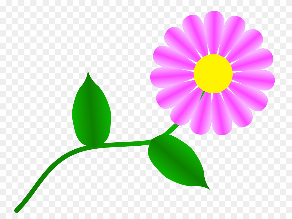 Clipart Singing, Anemone, Daisy, Flower, Petal Free Transparent Png