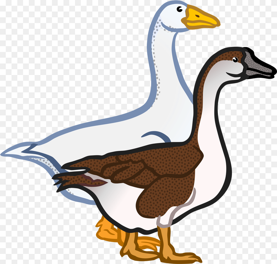 Clipart Singular And Plural Duck, Animal, Anseriformes, Bird, Goose Free Png