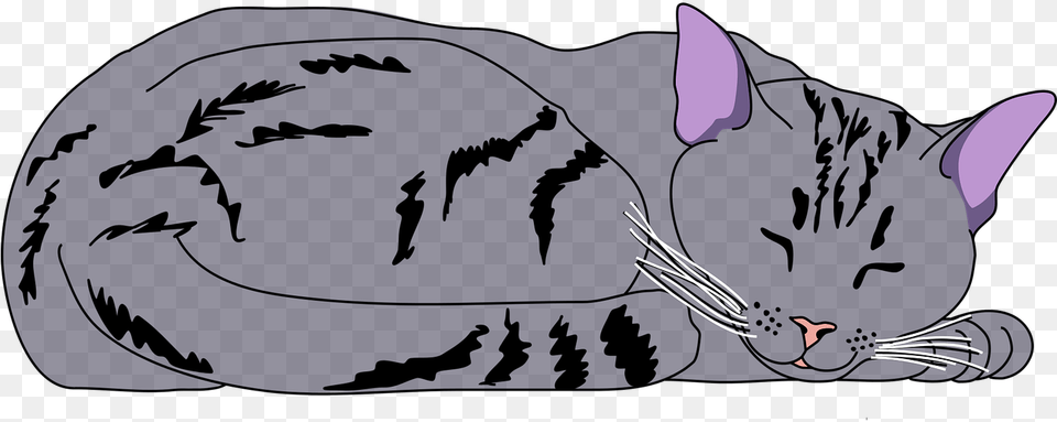 Clipart Sleeping Cat, Animal, Mammal, Pet, Baby Png Image