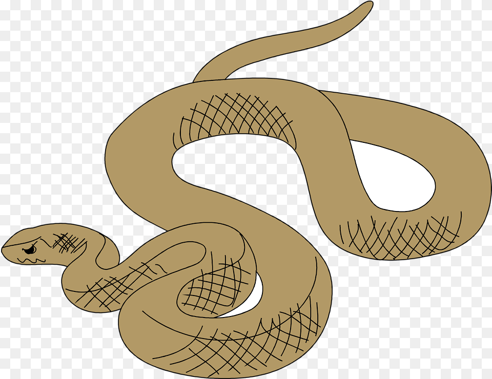 Clipart Snake Venomous Cartoon Brown Tree Snake, Animal, Fish, Sea Life, Shark Free Transparent Png