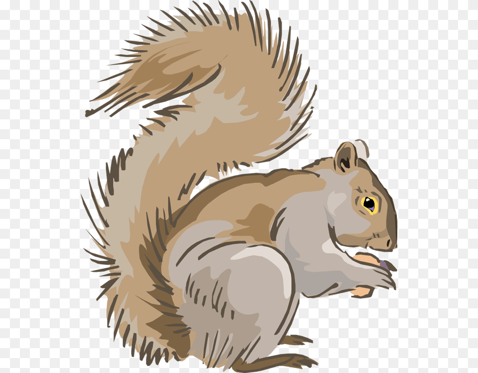 Clipart Squirrel Squirrels Clip Art, Animal, Mammal, Rodent, Person Free Png